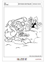 Donald Duck boyama sayfaları